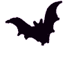 Dreaded Scottish Bat