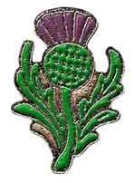 Thistle Lapel Pin Badge